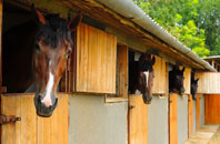 free Chattenden stable construction quotes
